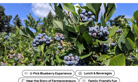 Berry Bliss Weekend (1)